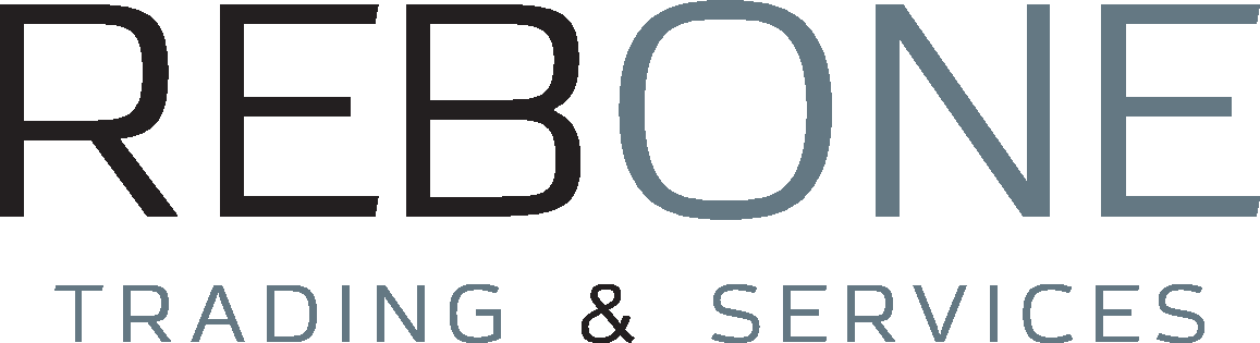 REB ONE Logo